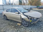 Honda Accord 2013