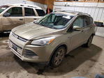 Ford Escape 2014