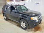 Ford Escape 2010