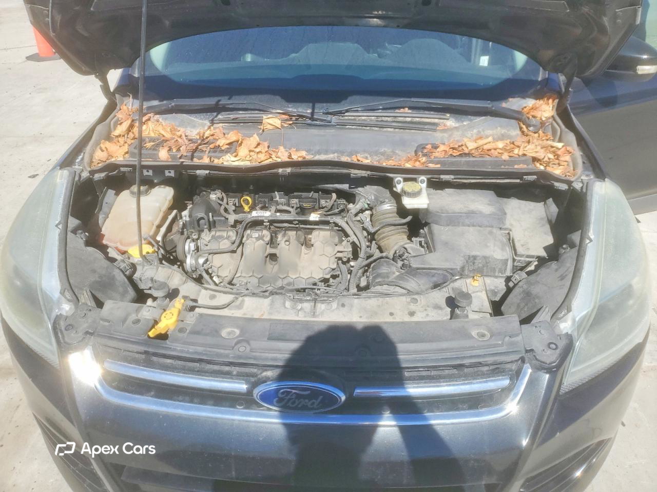 Ford Escape 2014
