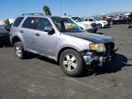 Ford Escape 2008