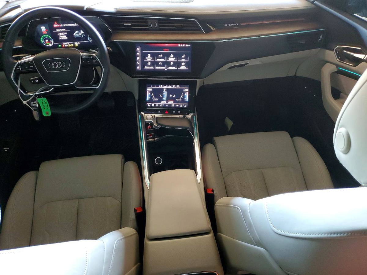 Audi e-tron 2019