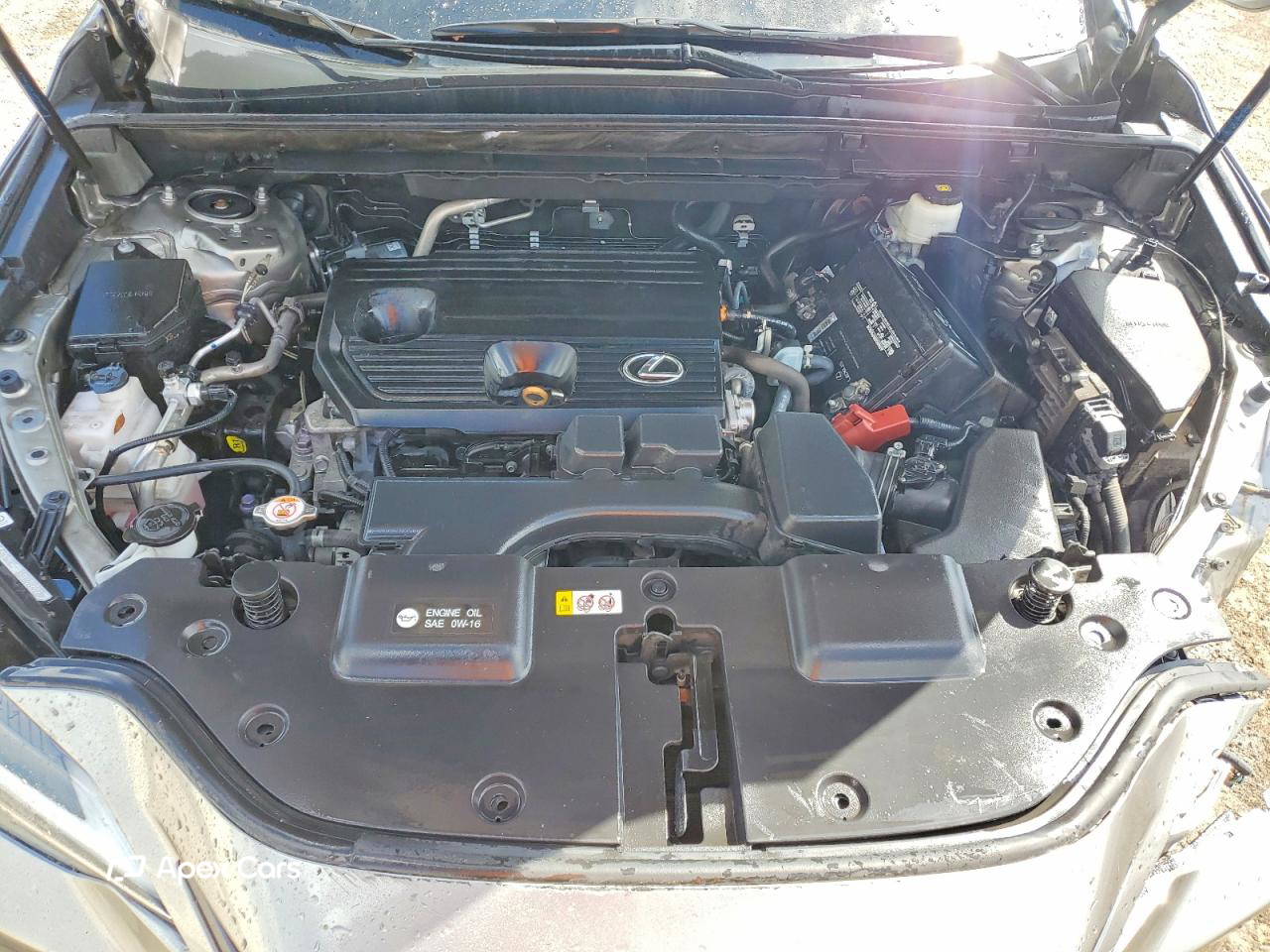 Lexus NX 2022