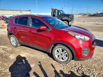 Kia Sportage 2017