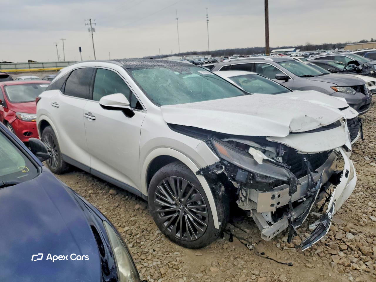 Lexus RX 2024