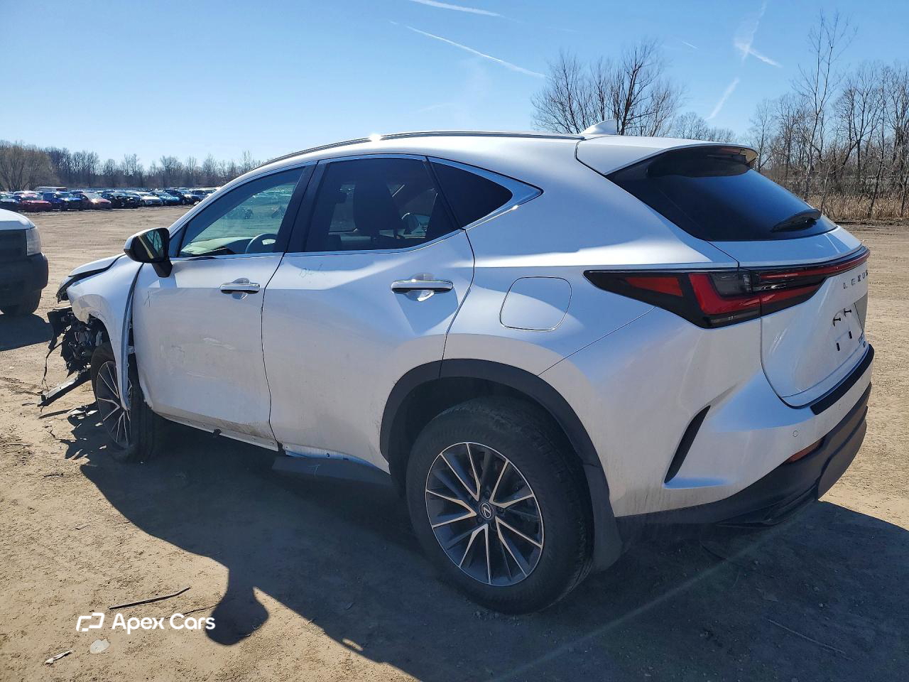 Lexus NX 2025