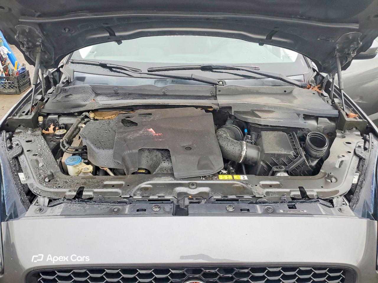 Jaguar E-type 2019
