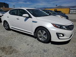 Kia  2015