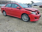 Toyota Corolla 2010