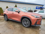 Lexus NX 2025