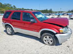 Ford Escape 2007