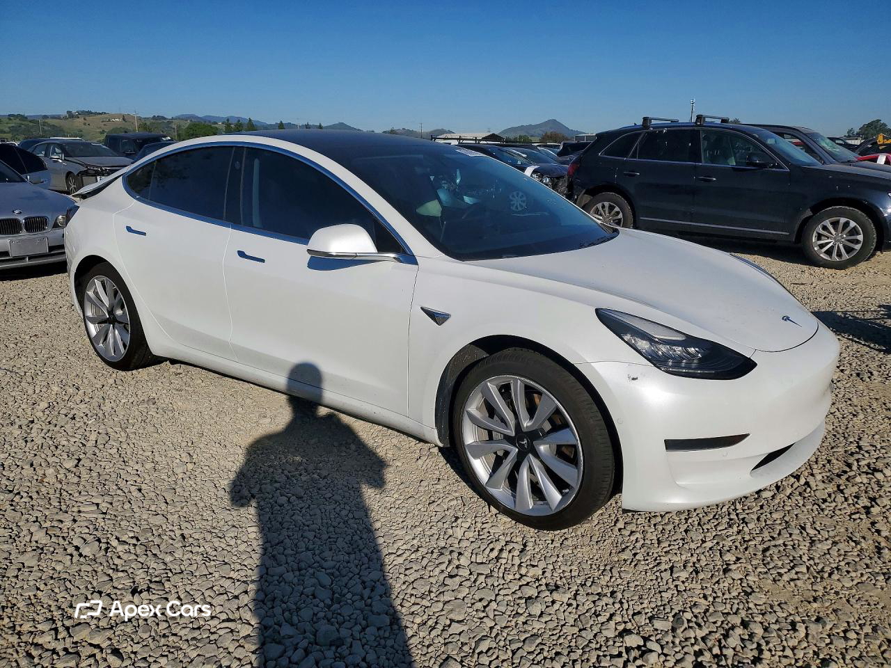 Tesla Model 3 2019
