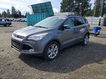 Ford Escape 2013