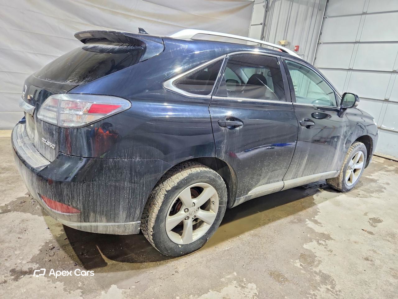 Lexus RX 2010