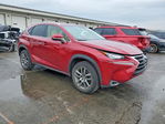 Lexus NX 2015