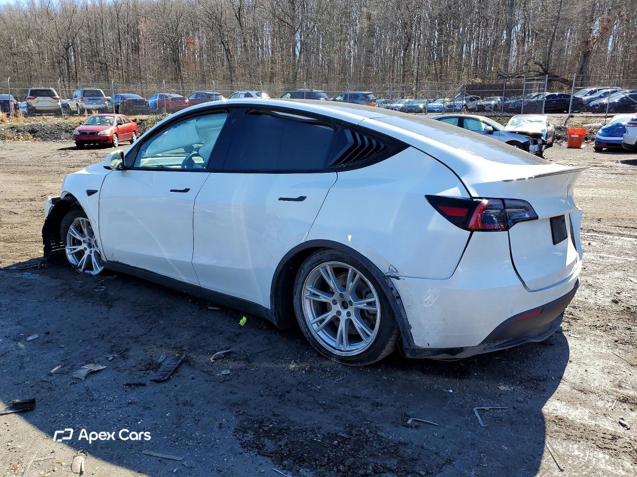 Tesla Model Y 2020