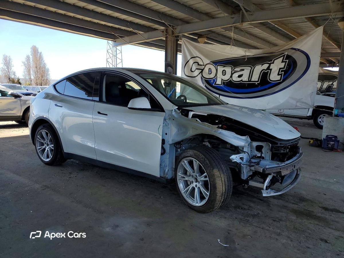Tesla Model Y 2020