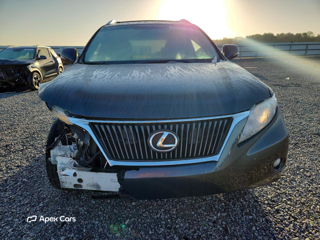 Lexus RX 2010