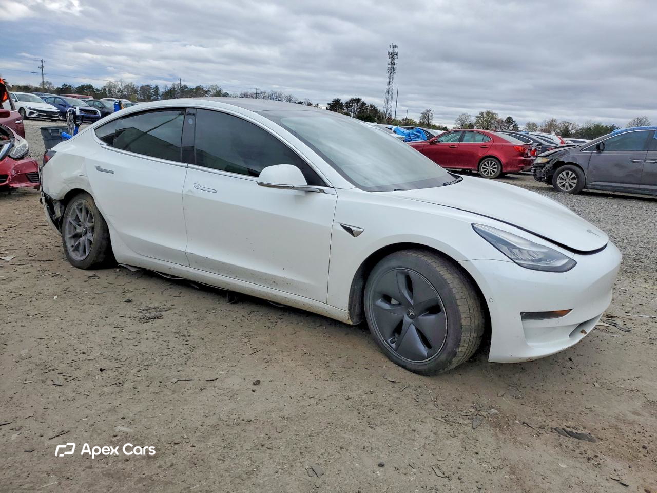 Tesla Model 3 2019