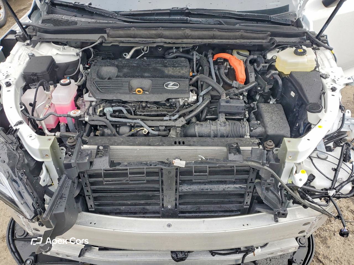 Lexus RX 2025