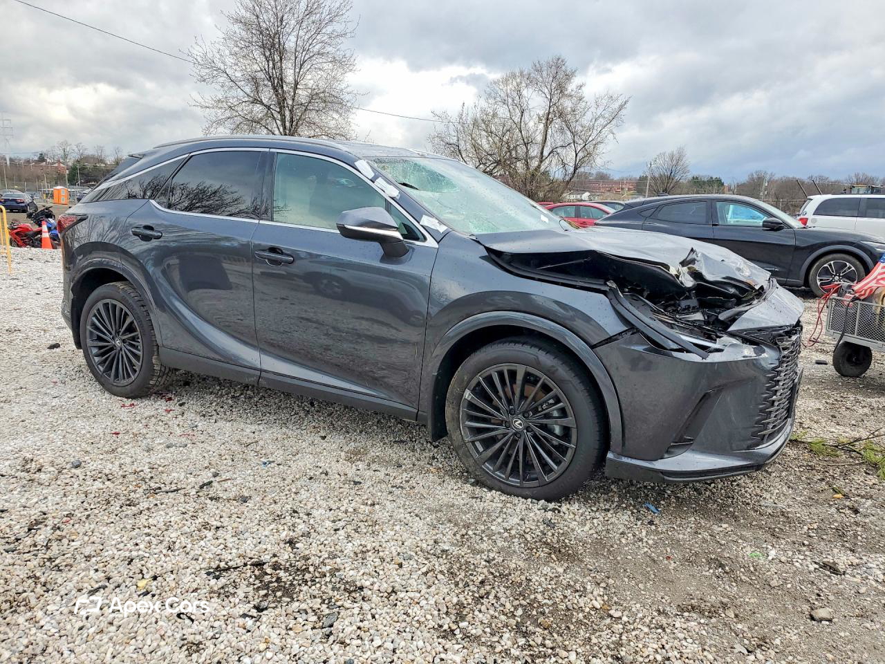 Lexus RX 2025