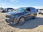 Cadillac XT6 2020