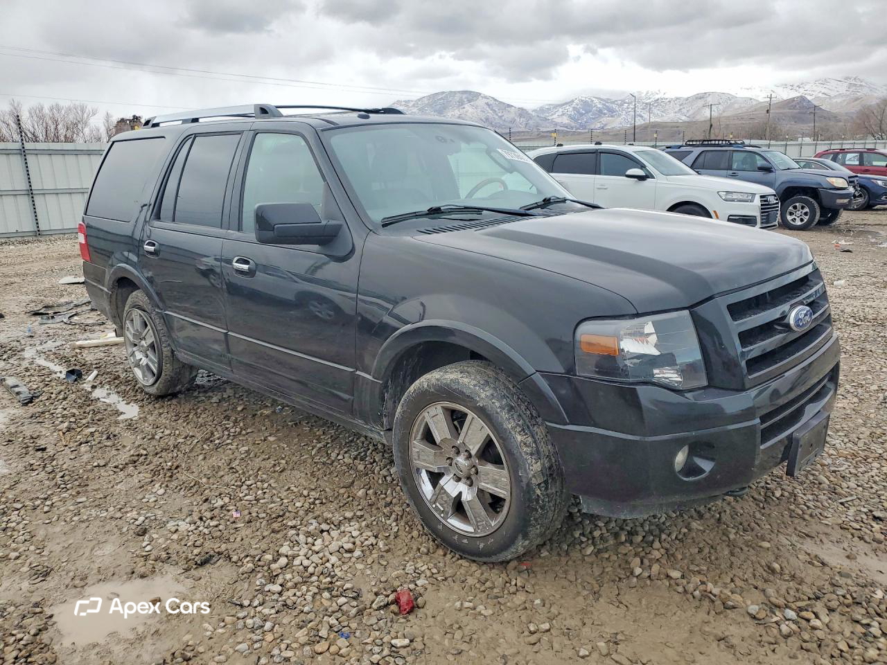Ford Expedition 2010
