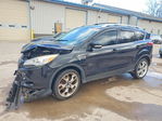 Ford Escape 2016
