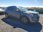 Ford Escape 2021