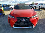 Lexus UX 2019