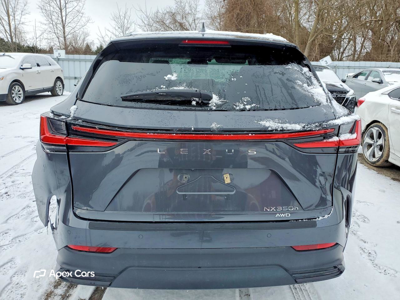 Lexus NX 2025