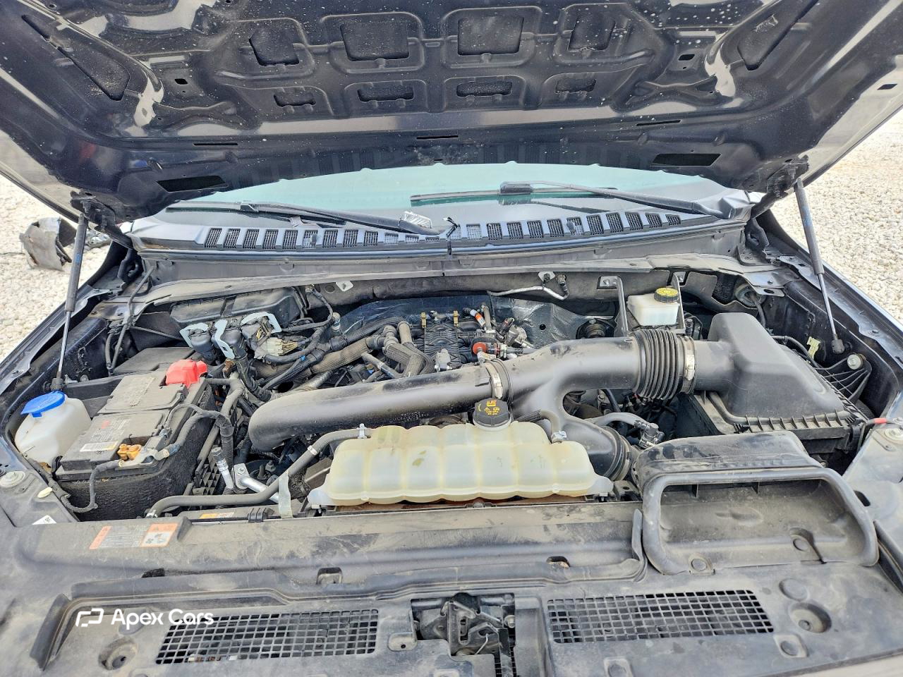Ford Expedition 2024
