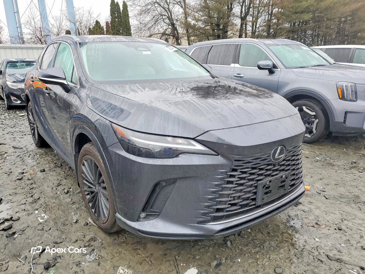 Lexus RX 2024