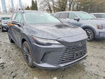 Lexus RX 2024