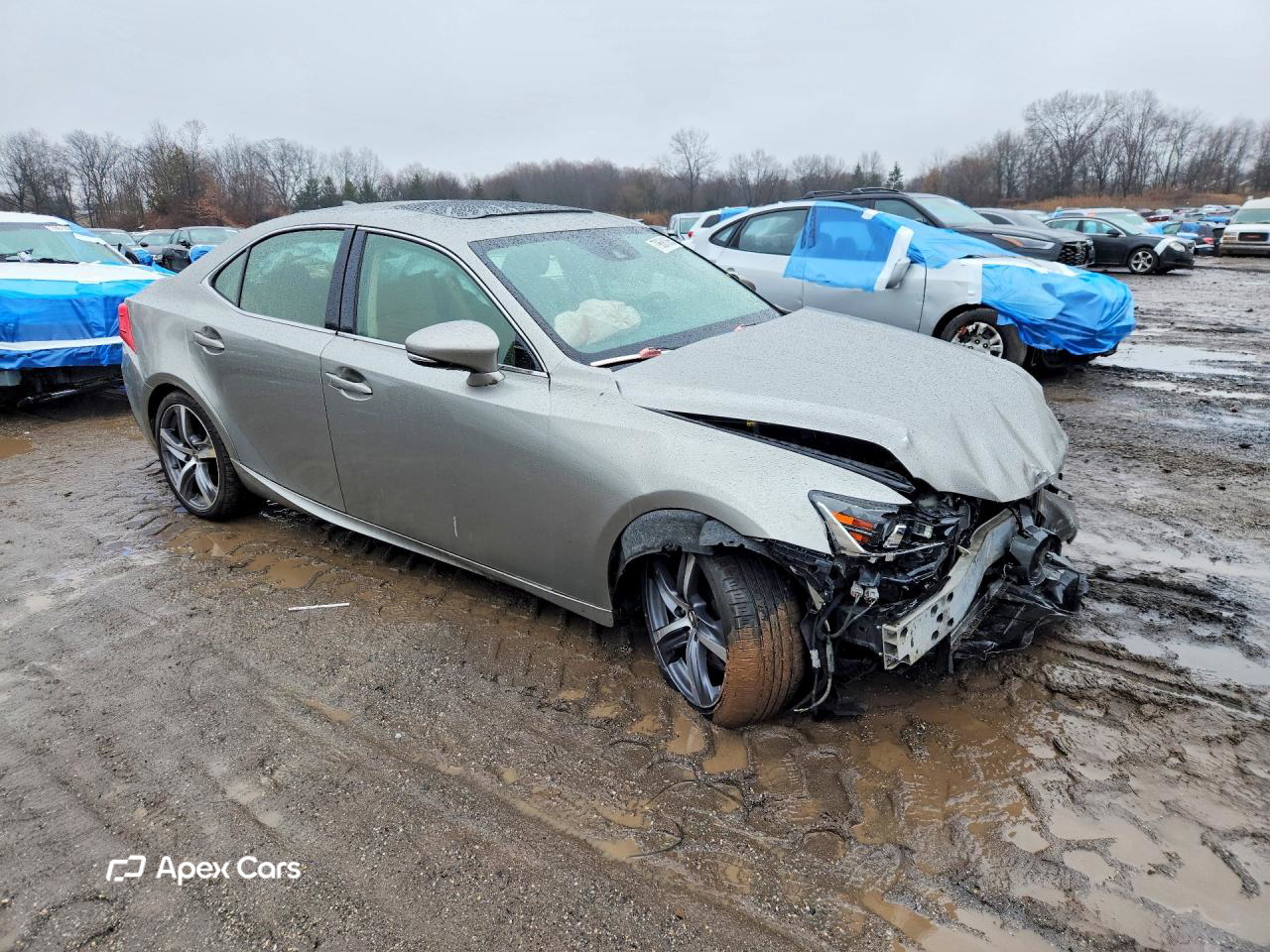 Lexus IS 2017