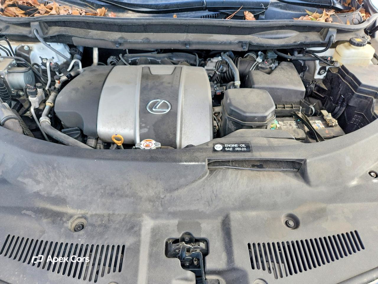 Lexus RX 2022