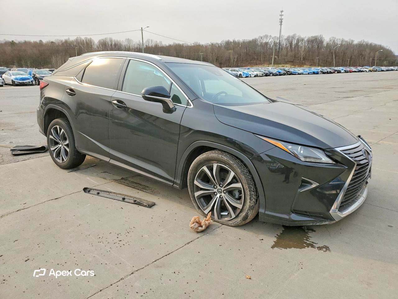 Lexus RX 2019
