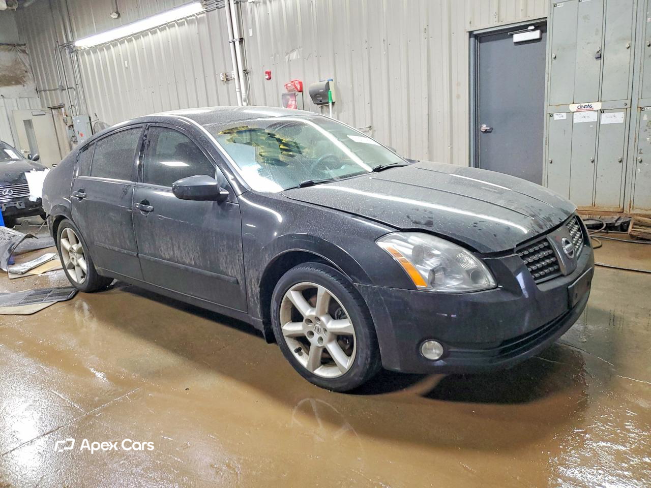 Nissan Maxima 2005