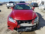 Lexus IS 2010