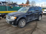 Ford Escape 2012