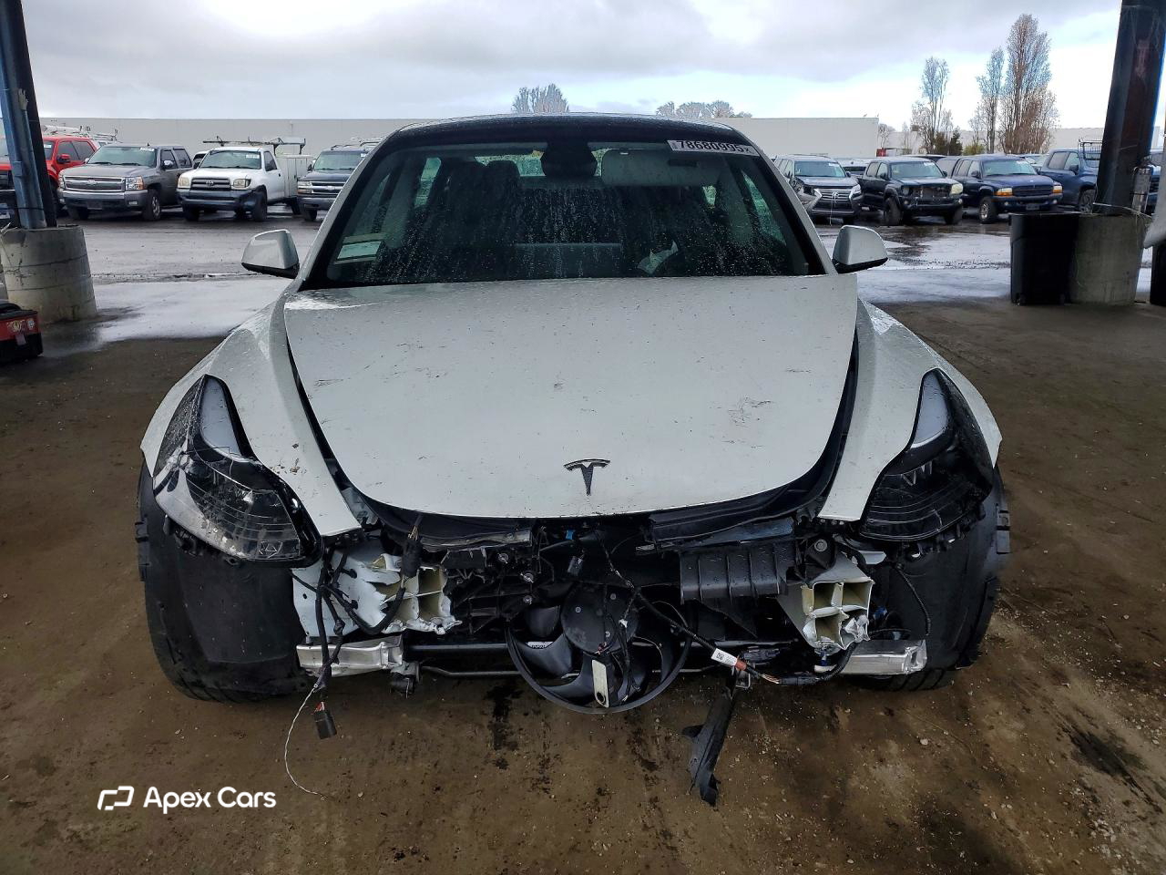 Tesla Model 3 2023