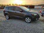 Ford Escape 2015