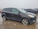 Ford Escape 2013