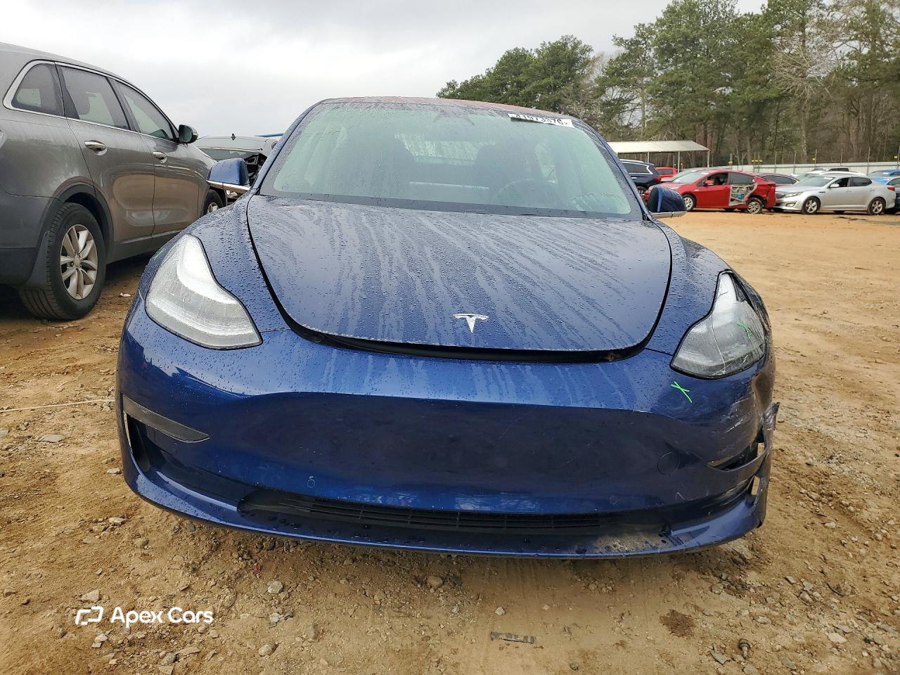 Tesla Model 3 2019