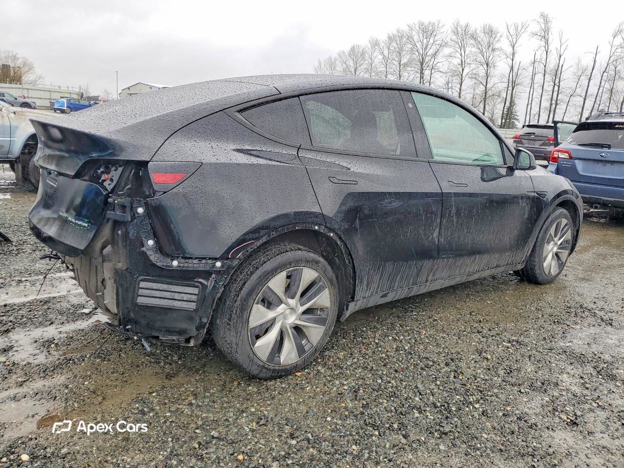 Tesla Model Y 2020