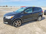 Ford Escape 2013