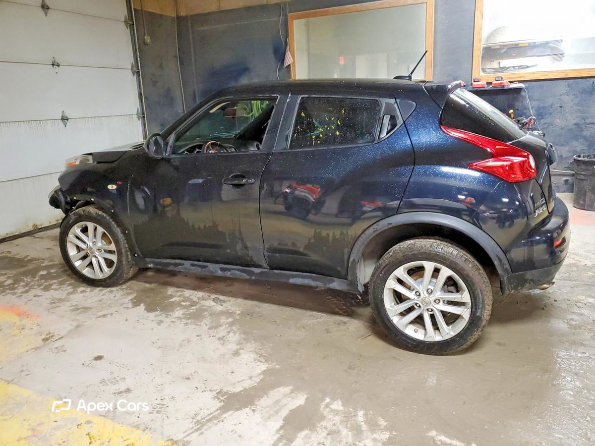 Juke 2013