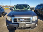 Ford Escape 2011