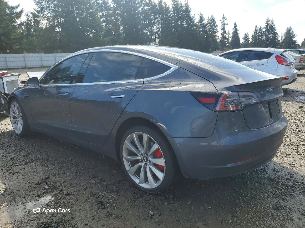 Tesla Model 3 2019