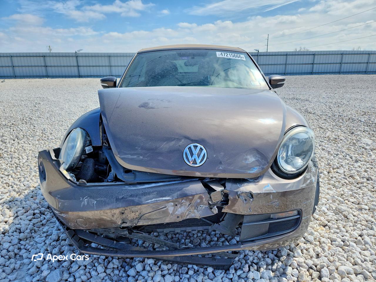 Volkswagen Beetle 2013